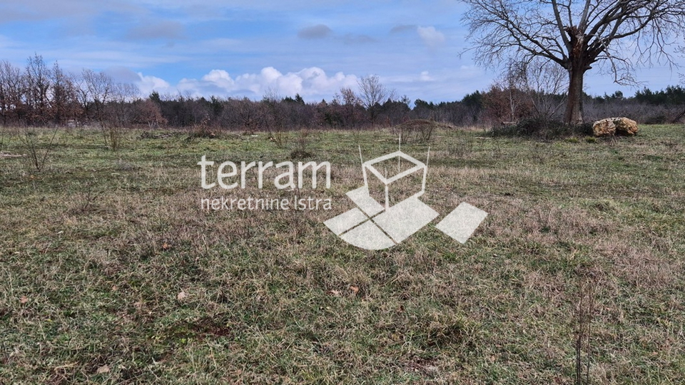 Land&comma; 5994 m2&comma; For Sale&comma; Mar&ccaron;ana