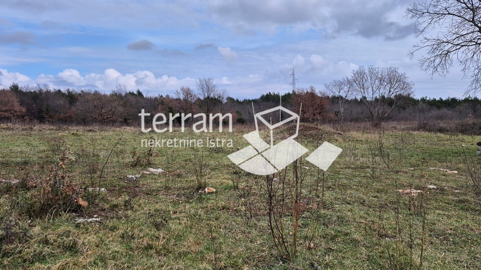 Land&comma; 5994 m2&comma; For Sale&comma; Mar&ccaron;ana