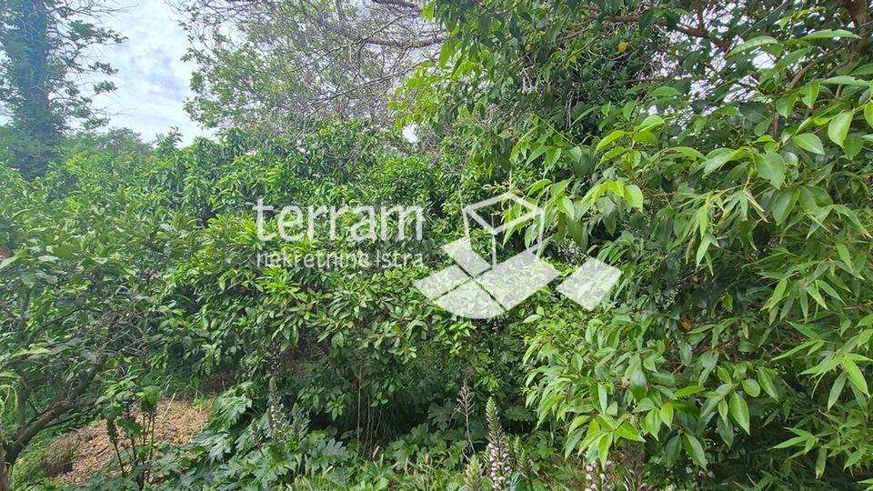 Istra, Pomer, imanje 2600m2, dvije kuće ukupno 470m2, 9 stanova, pogled na more, #prodaja