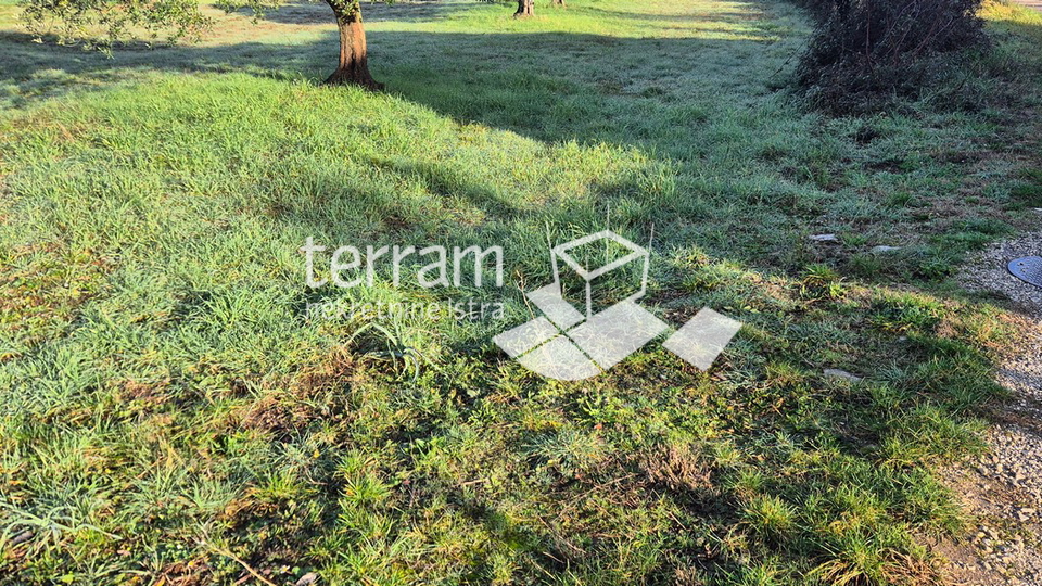 Istria&comma; Vodnjan&comma; Fondole&comma; agricultural land 1184m2&comma; &num;for sale