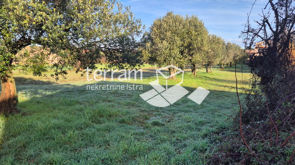 Istria&comma; Vodnjan&comma; Fondole&comma; agricultural land 1184m2&comma; &num;for sale