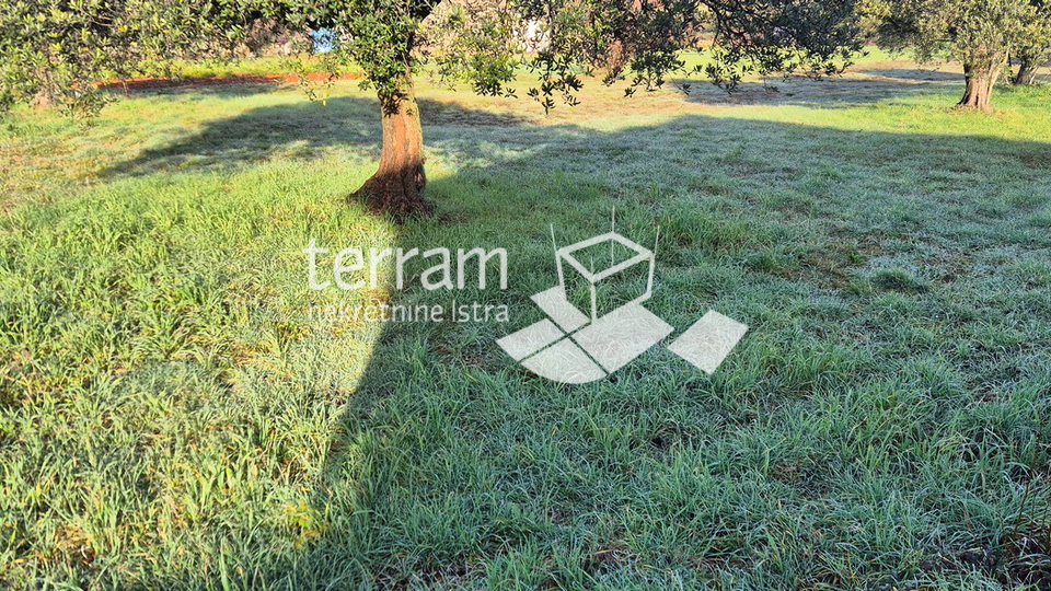 Istria&comma; Vodnjan&comma; Fondole&comma; agricultural land 1184m2&comma; &num;for sale
