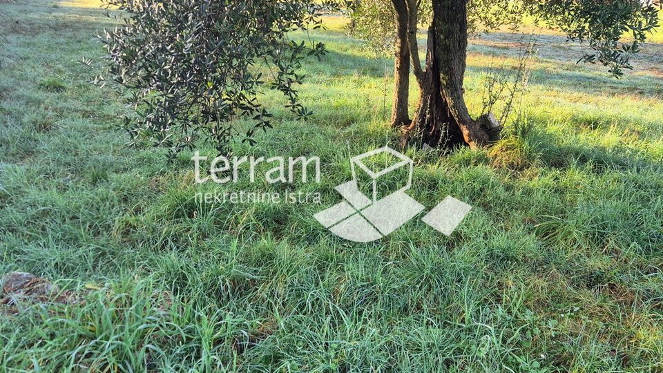 Istria&comma; Vodnjan&comma; Fondole&comma; agricultural land 1184m2&comma; &num;for sale
