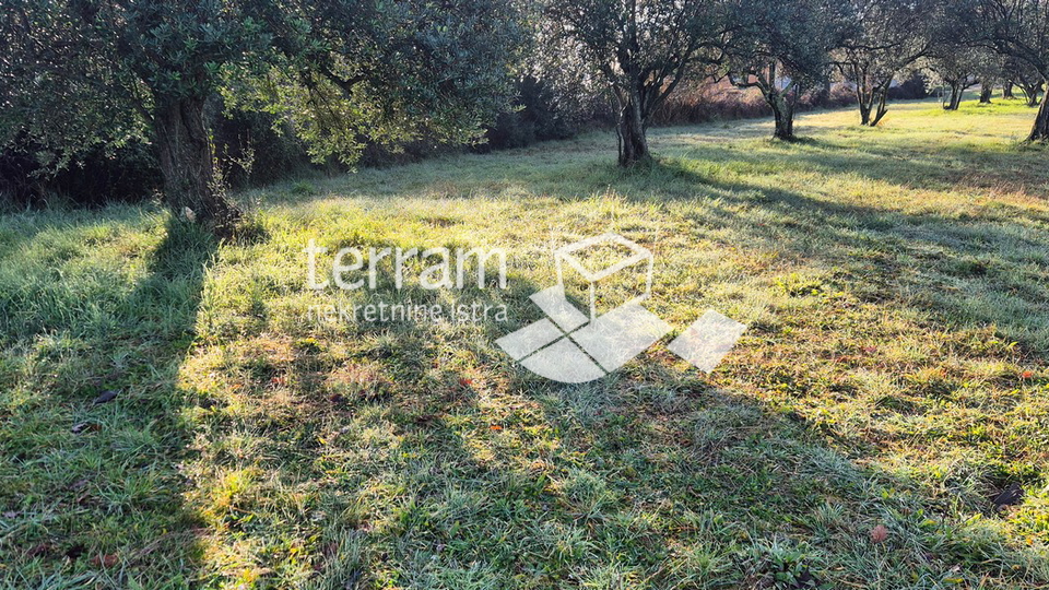 Istria&comma; Vodnjan&comma; Fondole&comma; agricultural land 1184m2&comma; &num;for sale
