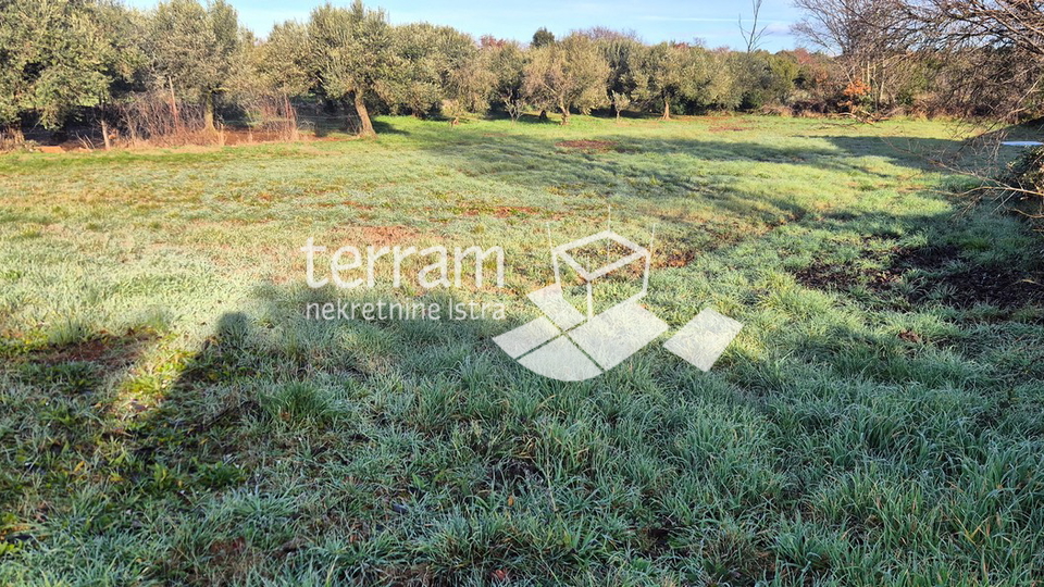 Istra&comma; Vodnjan&comma; Fondole&comma; agricultural land 1161m2&comma; &num;for sale