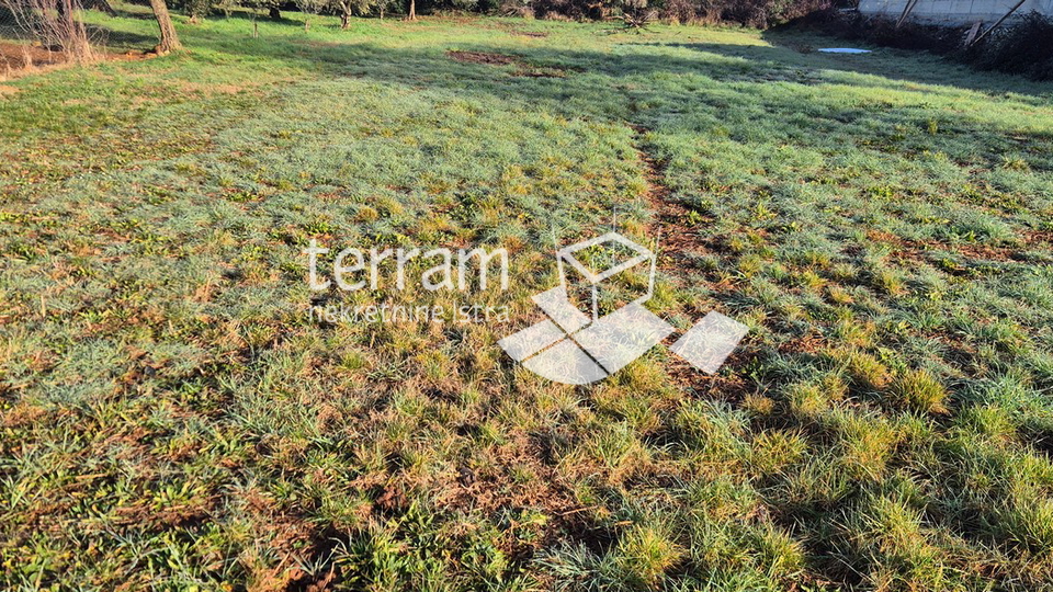 Istra&comma; Vodnjan&comma; Fondole&comma; agricultural land 1161m2&comma; &num;for sale