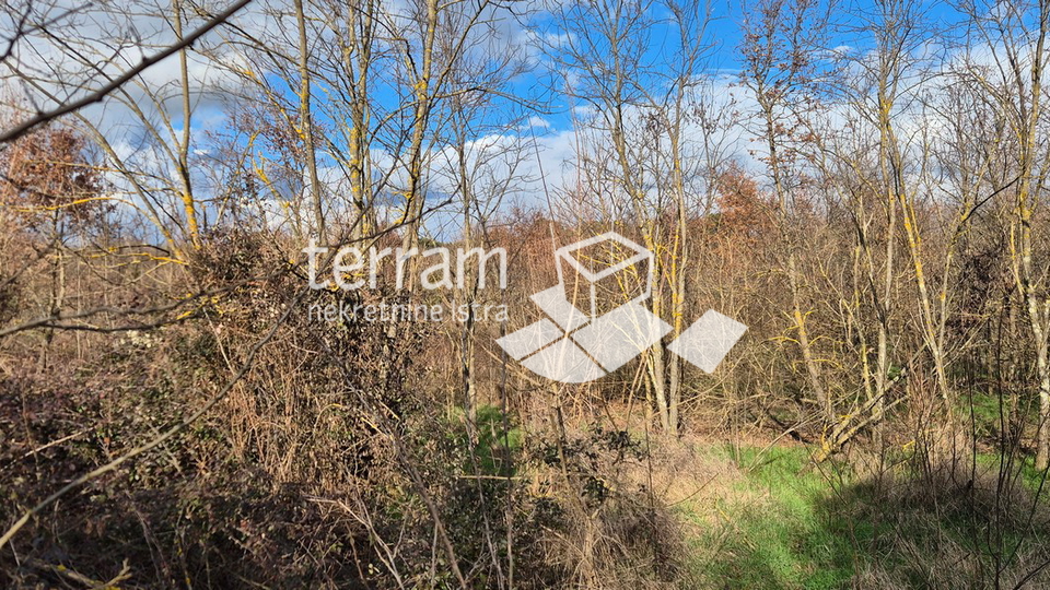 Istria&comma; Rovinj&comma; building land 5833m2&comma; &num;for sale