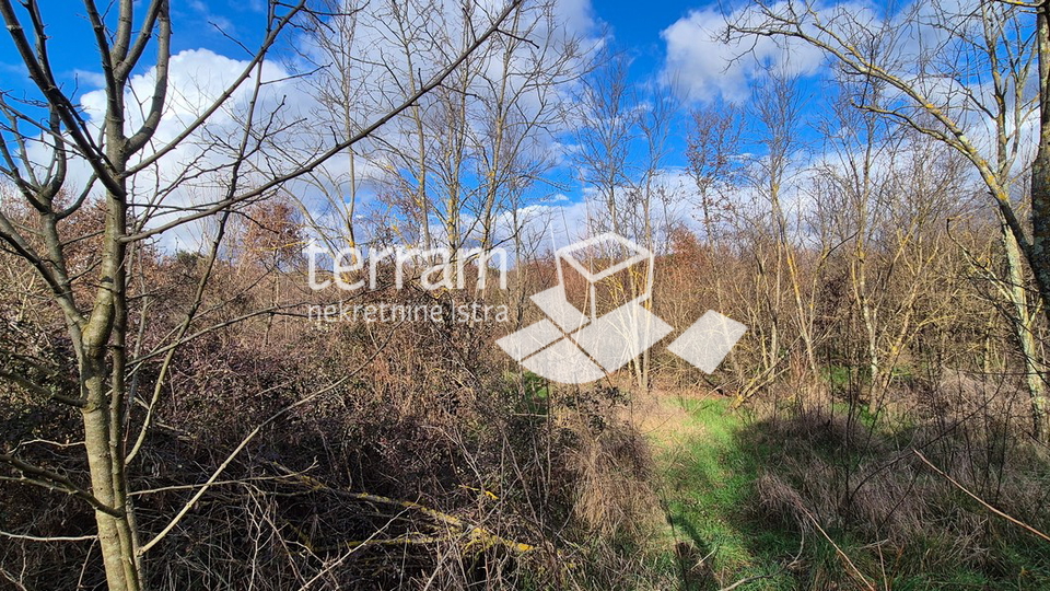 Istria&comma; Rovinj&comma; building land 5833m2&comma; &num;for sale