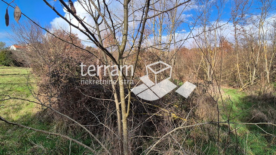 Istria&comma; Rovinj&comma; building land 5833m2&comma; &num;for sale
