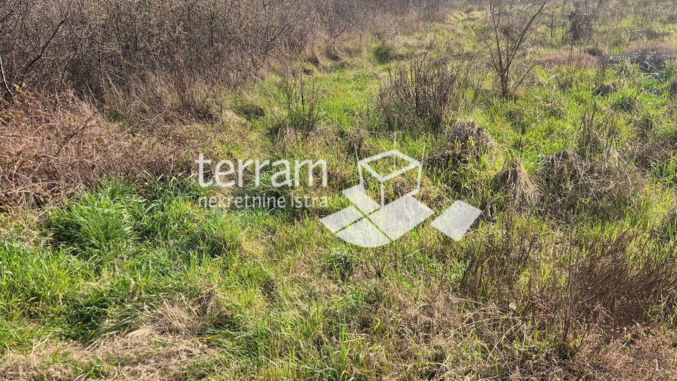 Istra&comma; Pula&comma; &Scaron;ijana&comma; gra&dstrok;evinsko zemlji&scaron;te poslovne namjene 1765m2