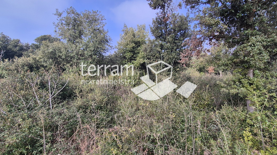Istra&comma; Pula&comma; Pje&scaron;&ccaron;ana uvala&comma; poljoprivredno zemlji&scaron;te 423m2&comma; &num;prodaja