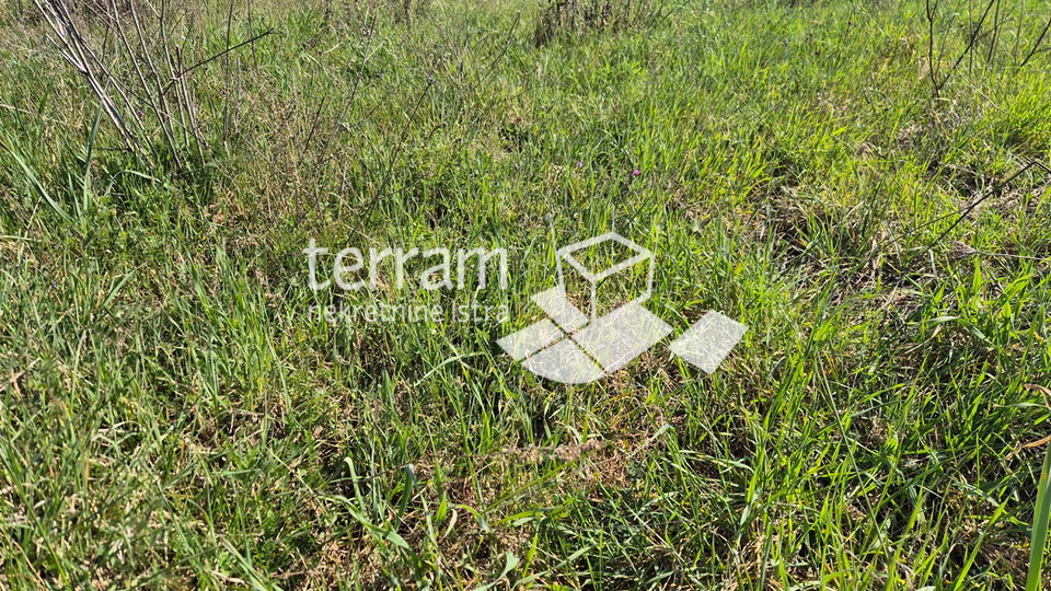 Istra&comma; Pula&comma; &Scaron;ijana&comma; gra&dstrok;evinsko zemlji&scaron;te 2350m2&comma;  idejni projekat za 18 stanova&comma; &num;prodaja