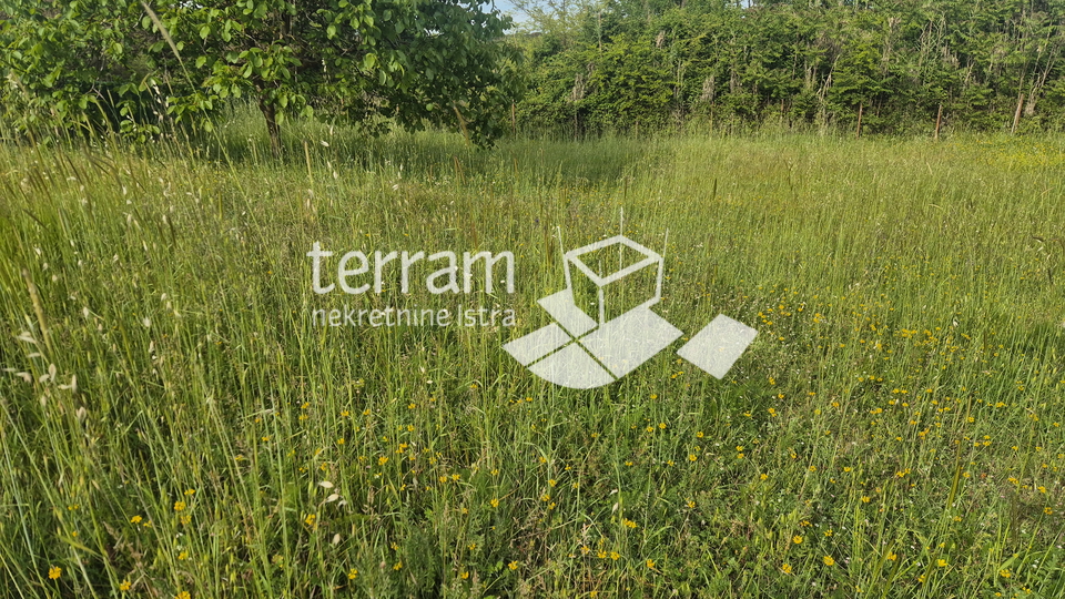 Istra&comma; Li&zcaron;njan&comma; Jadre&scaron;ki&comma; gra&dstrok;evinsko zemlji&scaron;te 750m2&comma; &num;prodaja