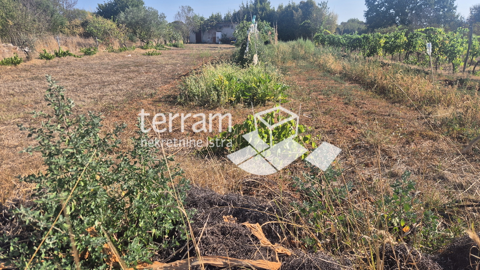 Istra&comma; Pula&comma; Medulinska cesta&comma; poljoprivredno zemlji&scaron;te s legaliziranim objekom&comma; &num;prodaja