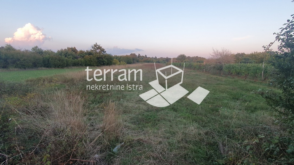 Istria, Svetvincenat, Rezanci building and agricultural land 2628m2