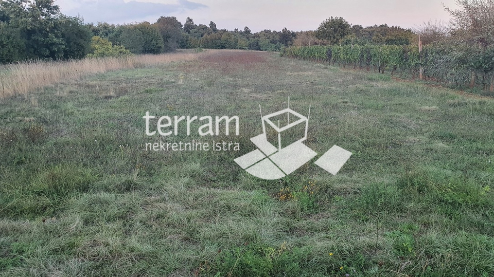 Istria, Svetvincenat, Rezanci building and agricultural land 2628m2