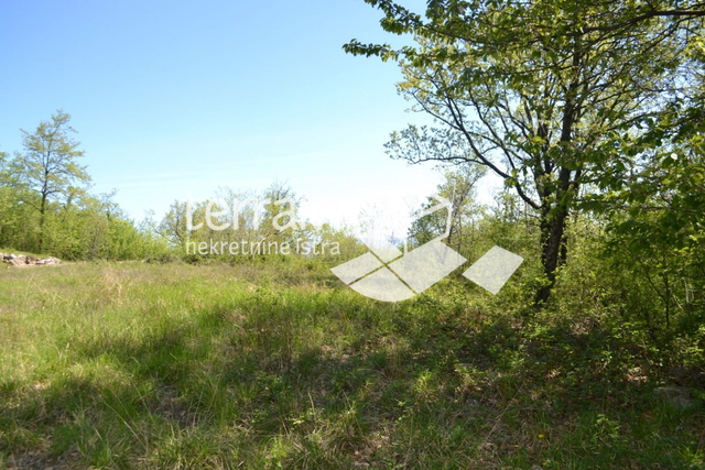 Istria, Liznjan, Muntic, agricultural land 5000m2