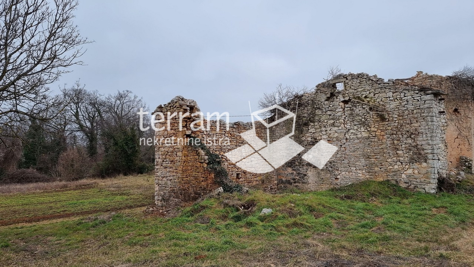 Istrien, Žminj, freistehendes istrisches Steinhaus 160m2 auf großem Baugrundstück 3978m2 zur Renovierung zu verkaufen