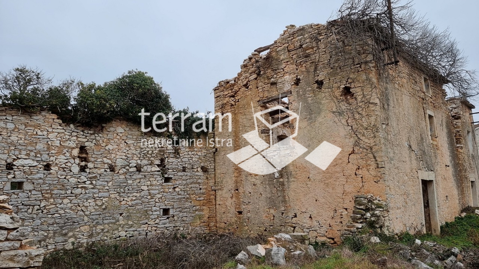 Istrien, Žminj, freistehendes istrisches Steinhaus 160m2 auf großem Baugrundstück 3978m2 zur Renovierung zu verkaufen