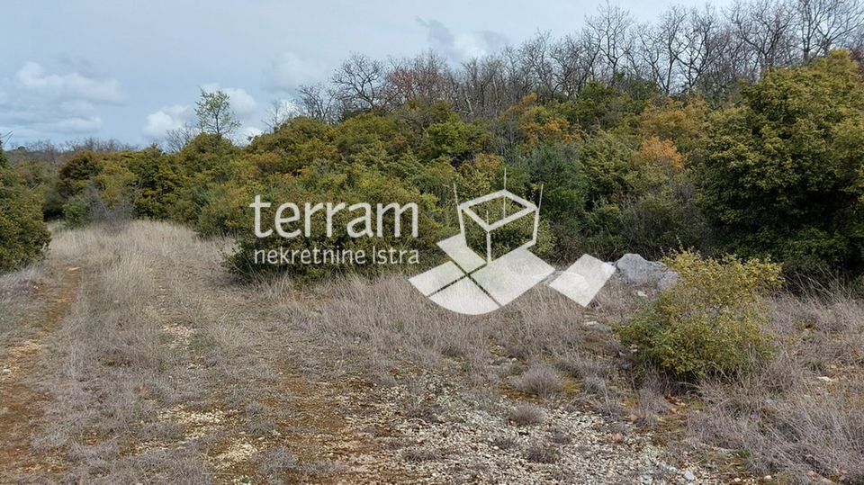 Istria, Bale agricultural land 11825m2,with a written building of 240m2 SEA VIEW