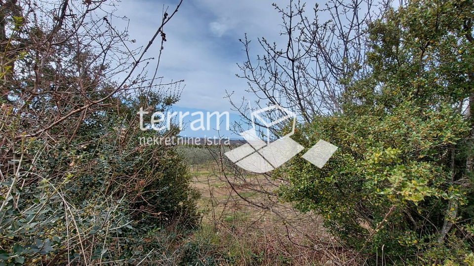 Istria, Bale agricultural land 11825m2,with a written building of 240m2 SEA VIEW