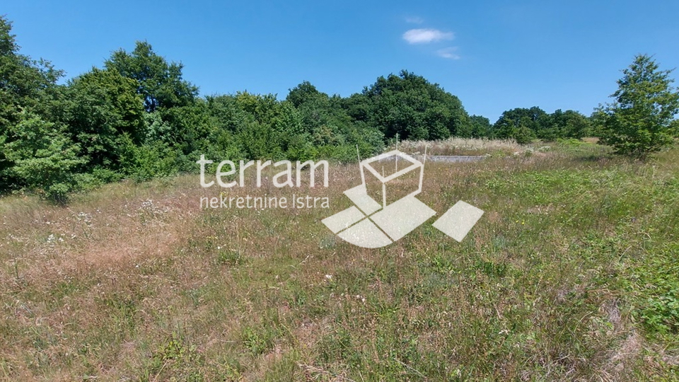 Istria, Svetvincenat combination of building and agricultural land 10655m2