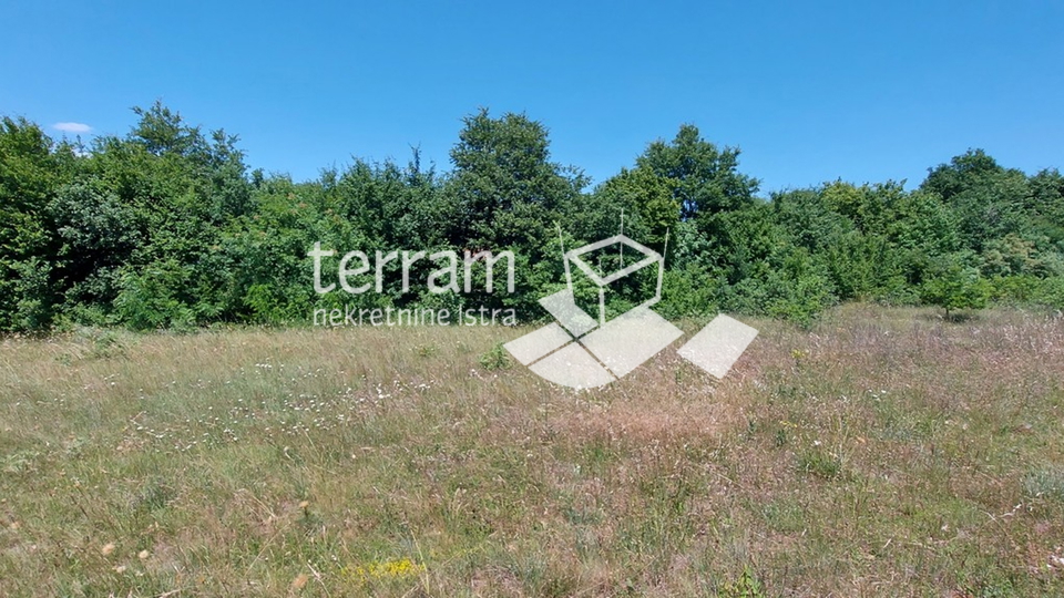 Istria, Svetvincenat combination of building and agricultural land 10655m2