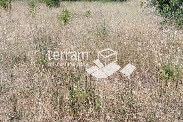 Istria, Fazana, Valbandon building land 2036m2 with a house 100m2