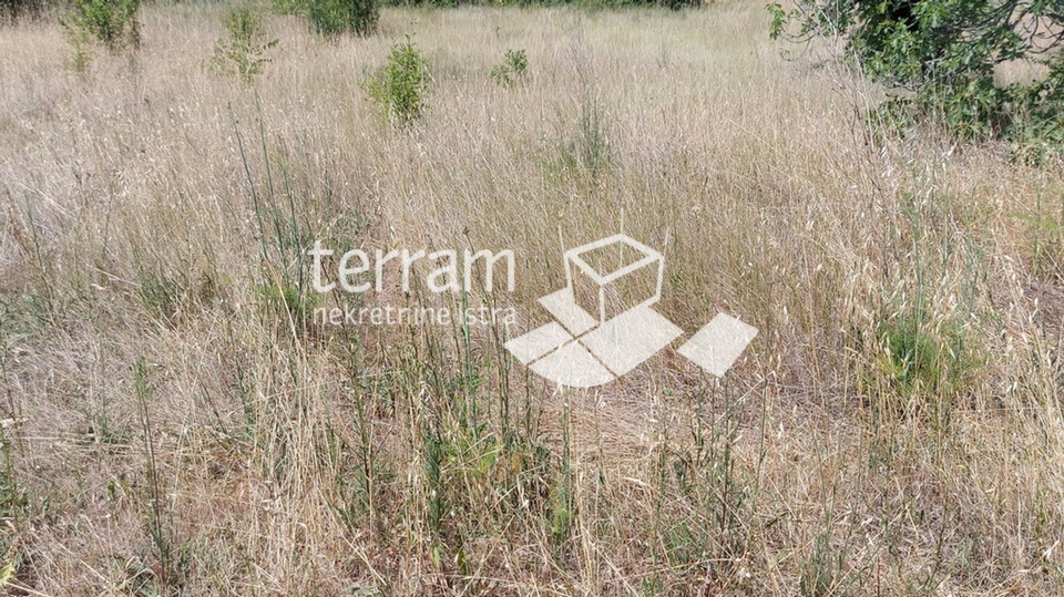 Istria, Fazana, Valbandon building land 2036m2 with a house 100m2