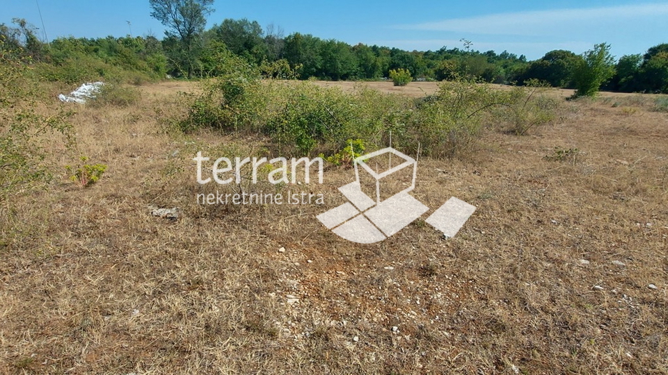 Istria, Kanfanar, Mrgani, building plot 8600m2, infrastructure