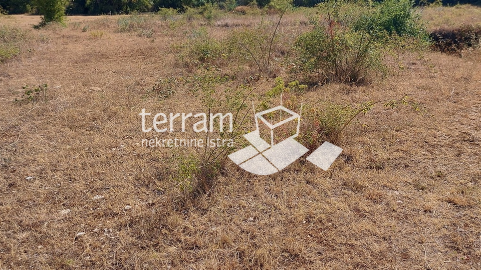 Istria, Kanfanar, Mrgani, building plot 8600m2, infrastructure