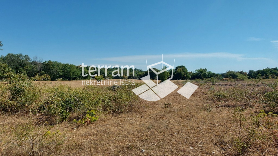 Istria, Kanfanar, Mrgani, building plot 8600m2, infrastructure