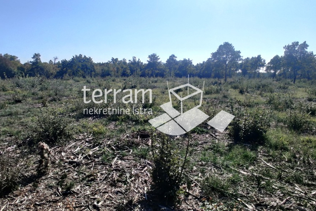 Istria, Bale, agricultural land 22821m2, TOP LOCATION, sale