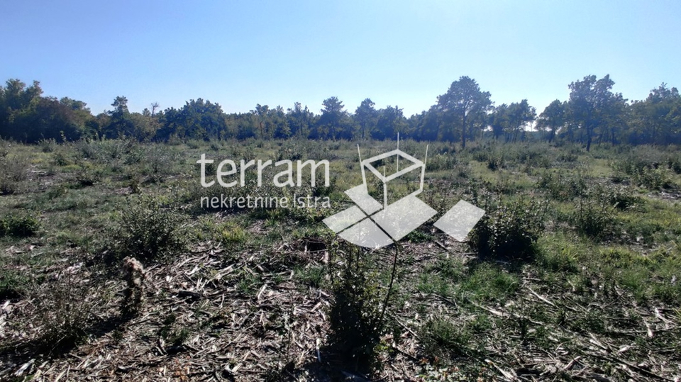 Istria, Bale, agricultural land 22821m2, TOP LOCATION, sale