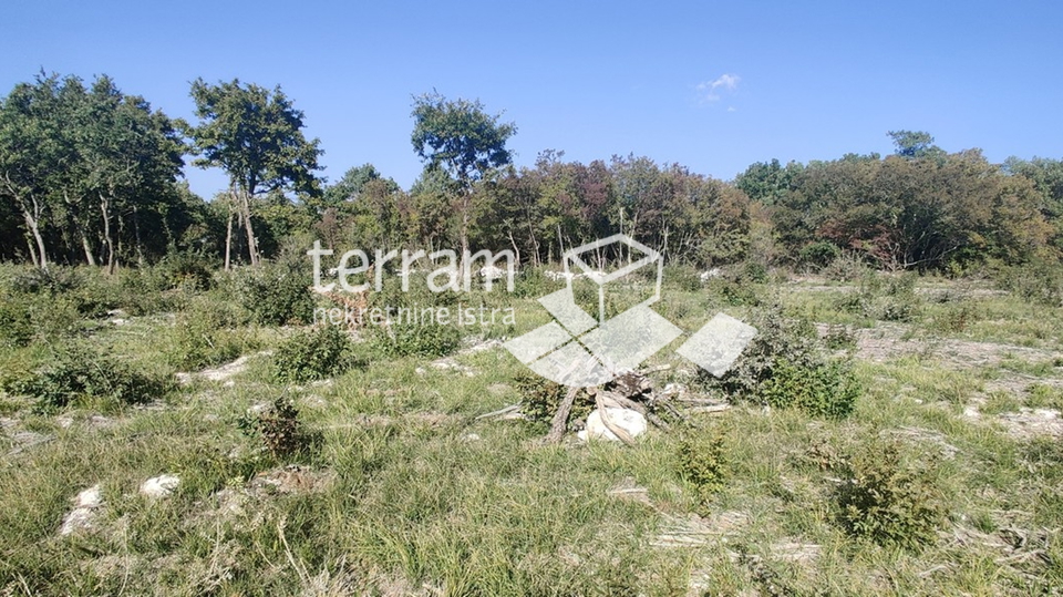 Istria, Bale, agricultural land 22821m2, TOP LOCATION, sale