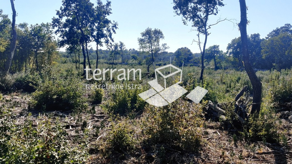 Istria, Bale, agricultural land 22821m2, TOP LOCATION, sale