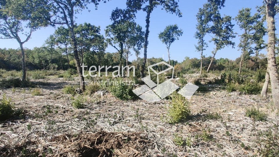 Istria, Bale, agricultural land 22821m2, TOP LOCATION, sale