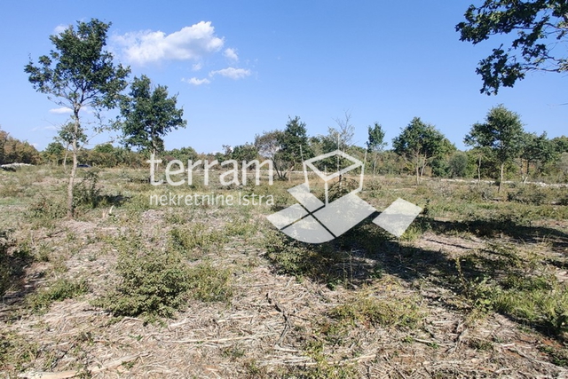 Istra, Bale, poljoprivreno zemjište 12400m2, TOP LOKACIJA, prodaja