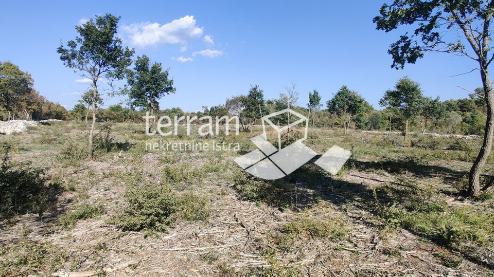 Istra, Bale, poljoprivreno zemjište 12400m2, TOP LOKACIJA, prodaja