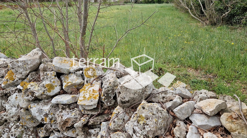 Istria, Svetvičenat, Juršići, building plot 820m2, proper shape, for sale