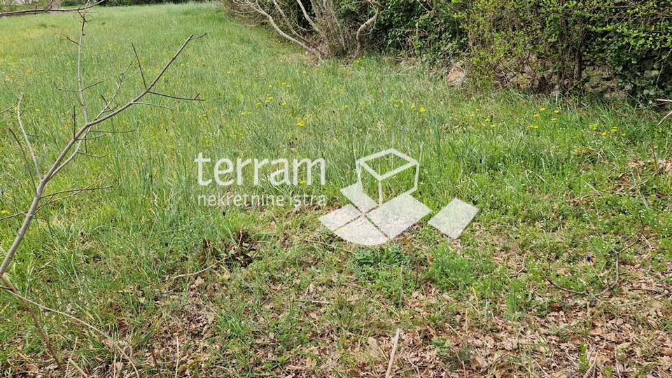 Istria, Svetvičenat, Juršići, building plot 820m2, proper shape, for sale