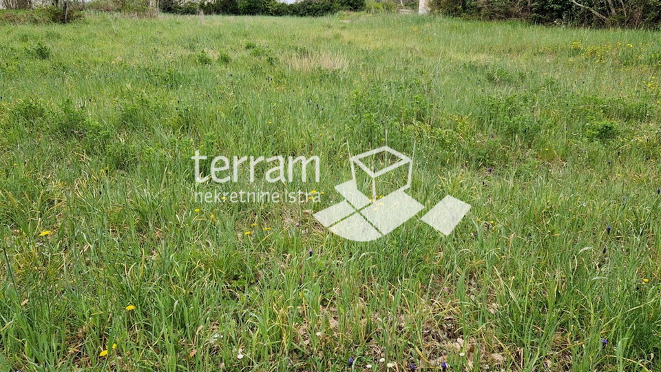 Istria, Svetvičenat, Juršići, building plot 820m2, proper shape, for sale