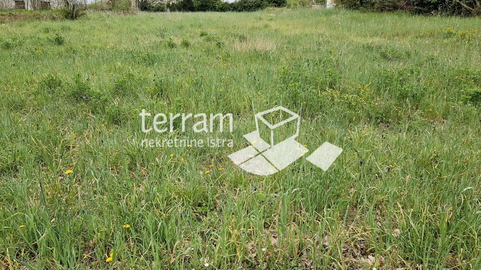 Istria, Svetvičenat, Juršići, building plot 820m2, proper shape, for sale