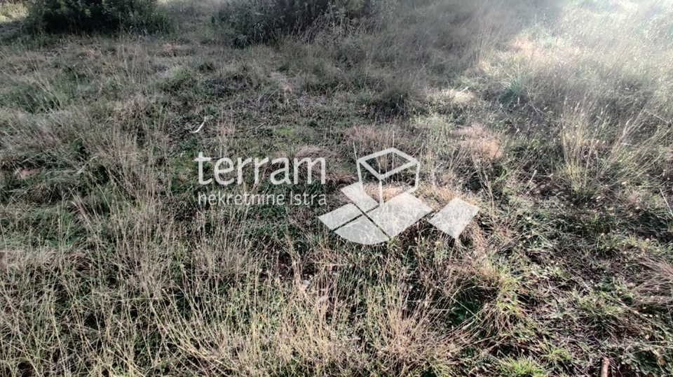 Istria, Štinjan, two building plots 989m2 and 1014m2, for sale