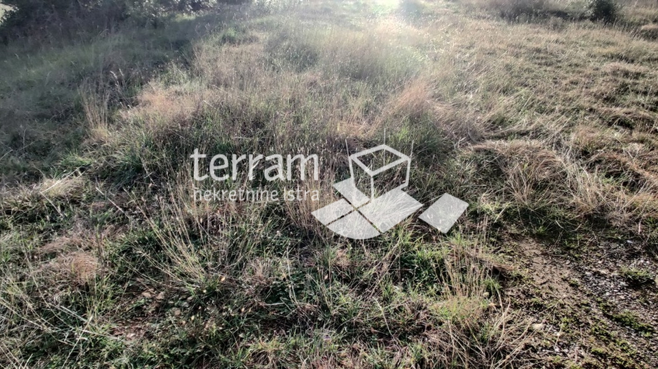 Istria, Štinjan, two building plots 989m2 and 1014m2, for sale