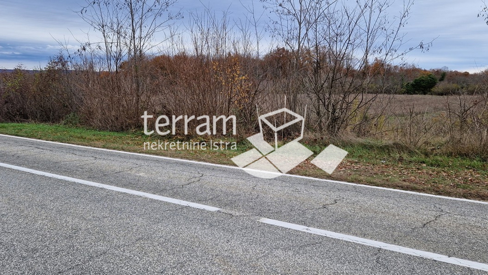 Istria, Bale beautiful agricultural land 20,050 m2 next to the main road for sale