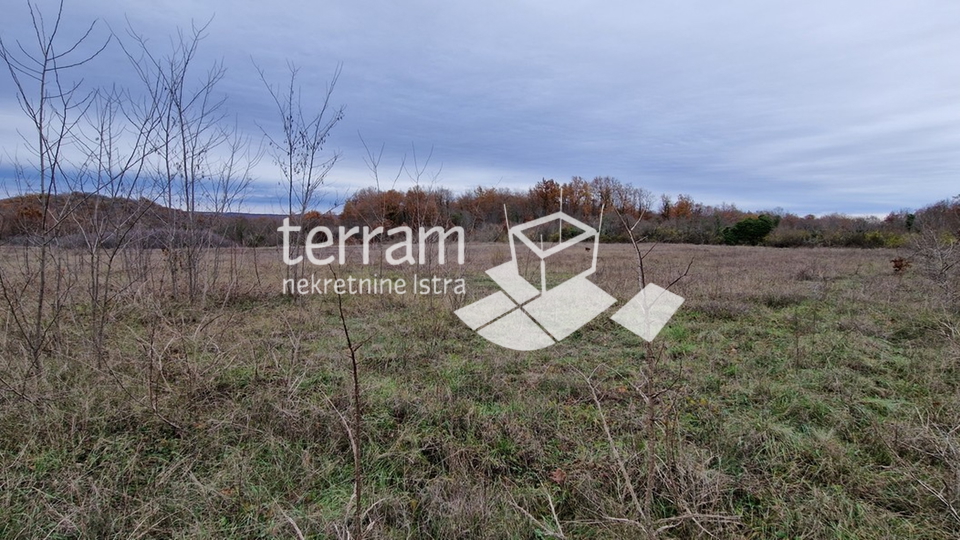 Istria, Bale beautiful agricultural land 20,050 m2 next to the main road for sale