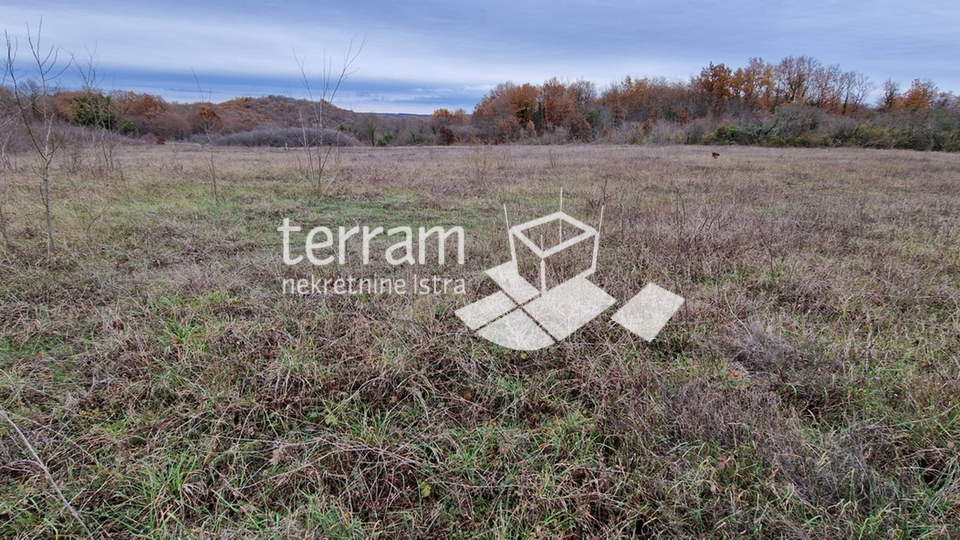 Istria, Bale beautiful agricultural land 20,050 m2 next to the main road for sale