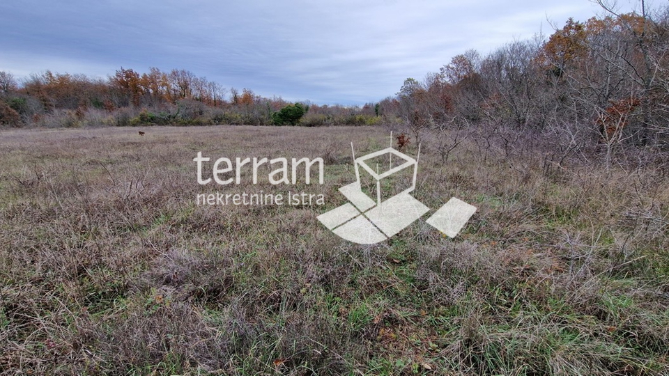 Istria, Bale beautiful agricultural land 20,050 m2 next to the main road for sale