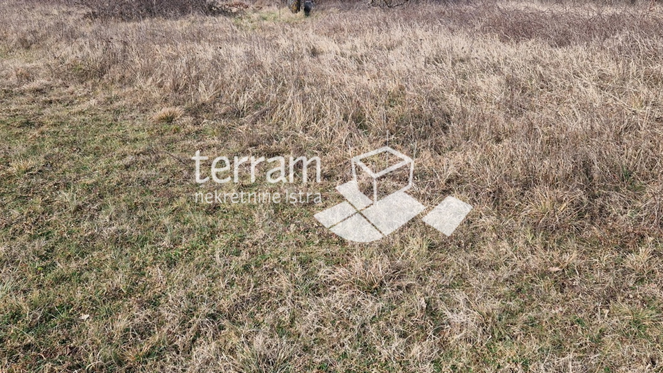 Istria, Barban, building plot 3160m2 with a building of 40m2 for sale